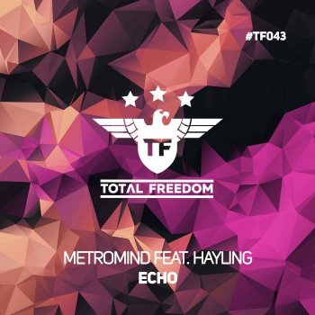 Metromind Echo (feat. Hayling) [Extended Mix]