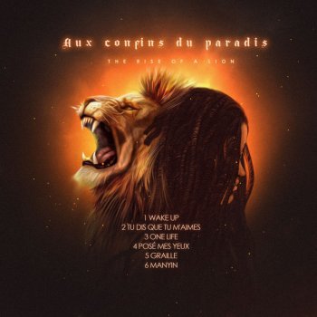 Исполнитель DNA, альбом Aux confins du paradis - The Rise of A Lion