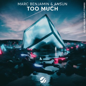 Marc Benjamin feat. Ansun Too Much