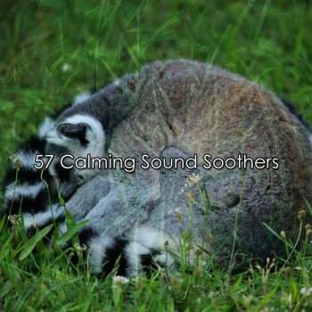 Исполнитель Sound Sleeping, альбом 57 Calming Sound Soothers