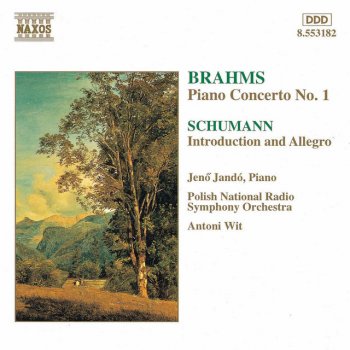 Johannes Brahms feat. Jenő Jandó, Polish National Radio Symphony Orchestra & Antoni Wit Piano Concerto No. 1 in D Minor, Op. 15: III. Rondo: Allegro non troppo