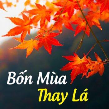 Bao Yen Như khúc tình ca