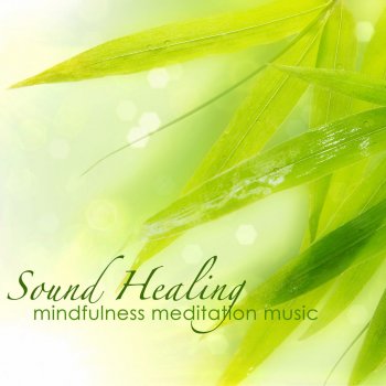 Relaxing Mindfulness Meditation Relaxation Maestro Sound Healing