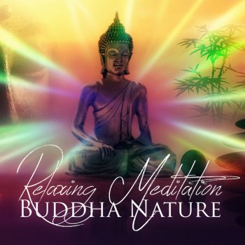 Mindfulness Meditation Universe Buddhist Meditation