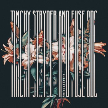 Tinchy Stryder feat. Fuse ODG Imperfection