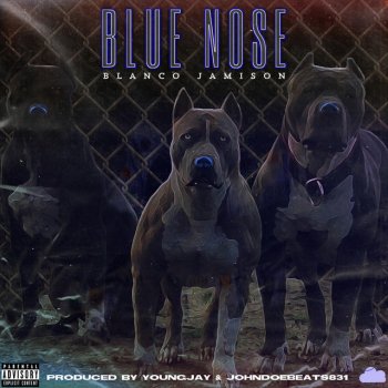 Blanco Jamison Blue Nose Pit