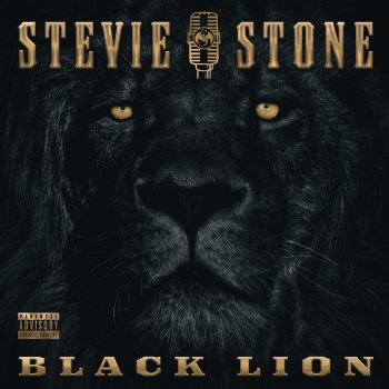 Stevie Stone feat. Jenn Em Some Days