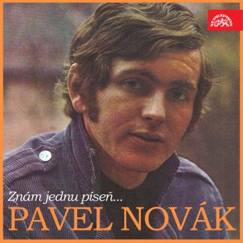 Pavel Novák Borůvkové blues