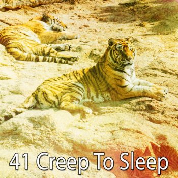 Bedtime Baby Special Rest