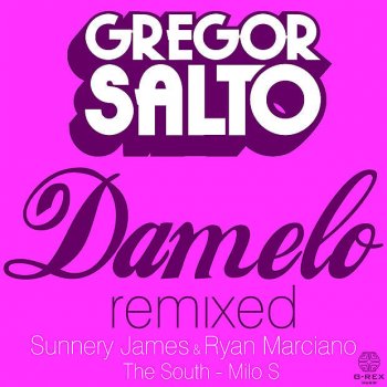 Gregor Salto Damelo (You Got What I Want) [Milo S Remix]