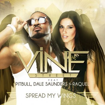 Vine Street feat. Pitbull, Dale Saunders & Raquel Spread My Wings