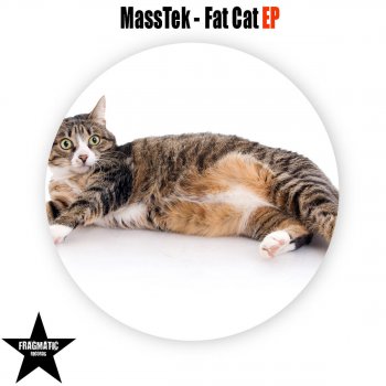 MassTek Fat Cat