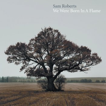 Sam Roberts Rarefield