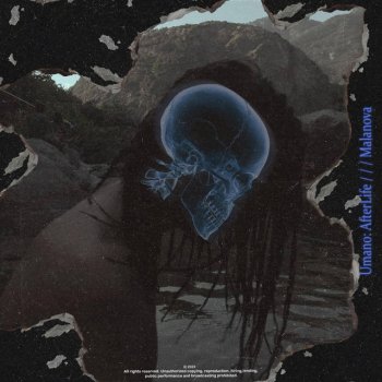 malanova xte interlude