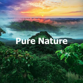 Nature Recordings Bioluminescence Exploration