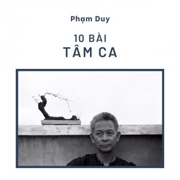 Phạm Duy Giọt Mưa Trên Lá