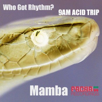 Mamba Who Got the Rhythm