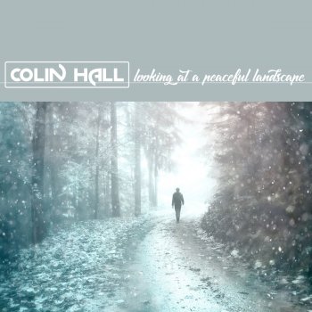 Colin Hall A Swan Floating on the Lake