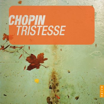 Frédéric Chopin feat. Idil Biret Etude Op.10 No 3 'Tristesse'
