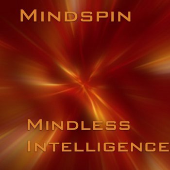 Mindspin Confusion