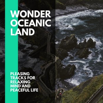 Ocean Birds Nature Music Wavy Ocean Twitter