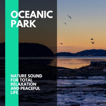 Ocean Goddess Music Library Rising Ocean Splash