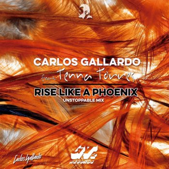 Исполнитель Carlos Gallardo, альбом Rise Like a Phoenix (Unstoppable Mix)