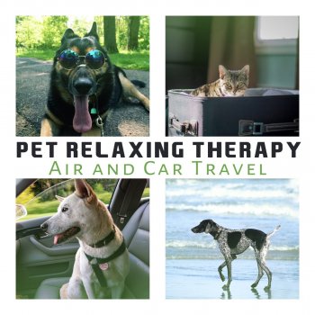 Pet Care Club Soothing Music for Dogs Ears