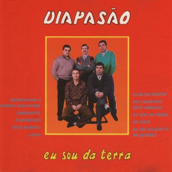 Agrupamento Musical Diapasão Linda
