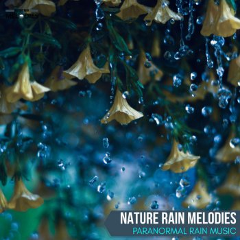 Rain Frequency Pink Noise Nature Sounds Drip Drop