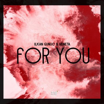 Ilkan Gunuc feat. Veneta For You