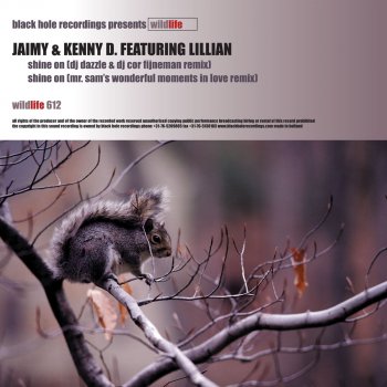 Jaimy feat. Kenny D. Shine On (DJ Dazzle & Cor Fijneman Remix)