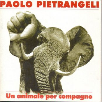 Paolo Pietrangeli Comodità