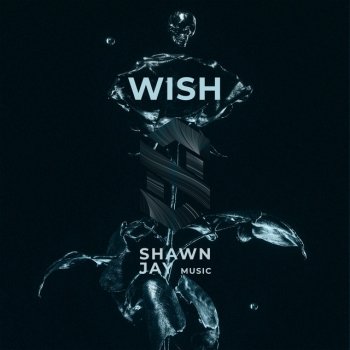 Shawn Jay Wish