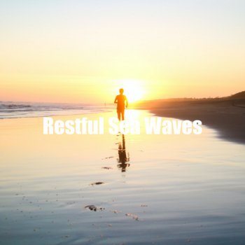 Sea Sound Balmy Sea Waves