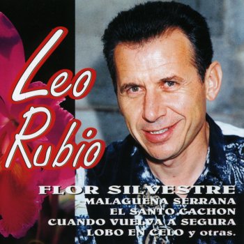 Leo Rubio Lobo en celo