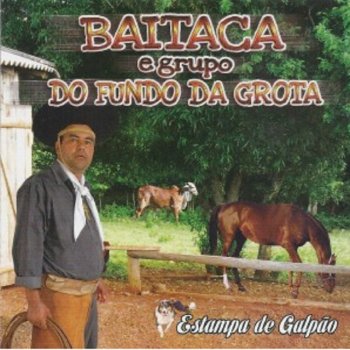 Baitaca feat. Grupo do Fundo da Grota Estampa de Galpão