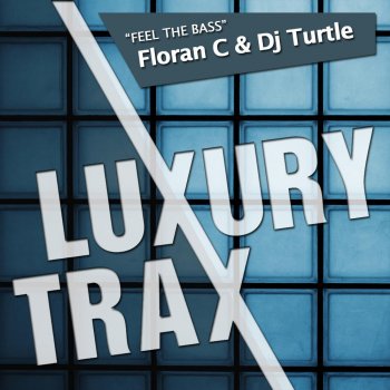 Dj Turtle feat. FLoran C Feel the Bass (Radio Edit)