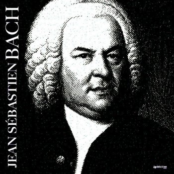 Bach Brandenburg Concerto No. 3 in G Major, BWV 1048_ II. Adagio in G Major, BWV 1048_ II. Adagio