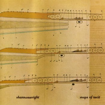 Shannon Wright Within the Quilt of Demand