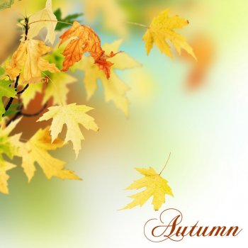Liquid Blue Autumn Leaves