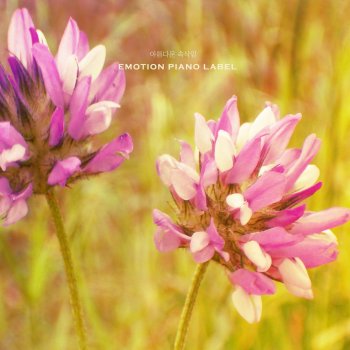 조이엘 햇살 가득한 정오