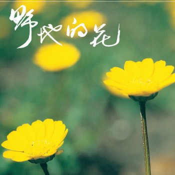 天韻合唱團 野地的花