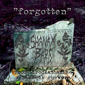 Shanax Bars Forgotten