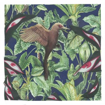 Luchii Humming Bird