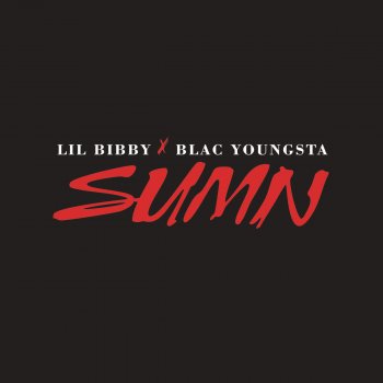 Lil Bibby feat. Blac Youngsta Sumn