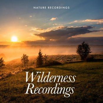 Nature Recordings Clouds Evergreen