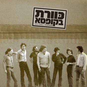 כוורת השכן ממול