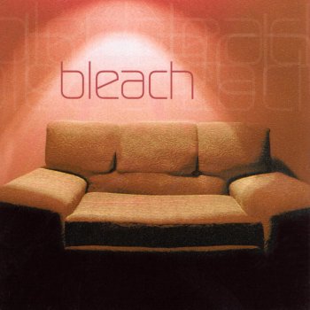 Bleach Once Again Here We Are