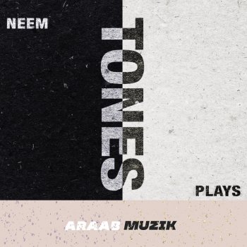 Plays, Neem & Araabmuzik Why Lie (feat. Juelz Santana)
